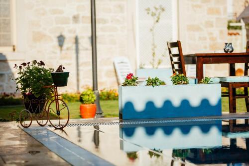 Bed & Breakfast Alapietra Hotel