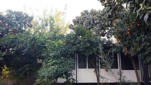 Albergue Uyar Palace
