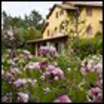 Residencia Resort E Spa San Crispino