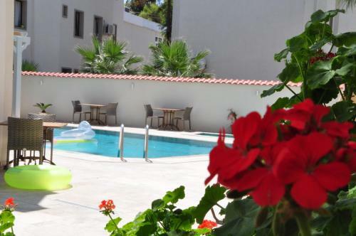 Olivias Group Hotel