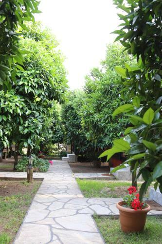Hostal Plaj Hotel