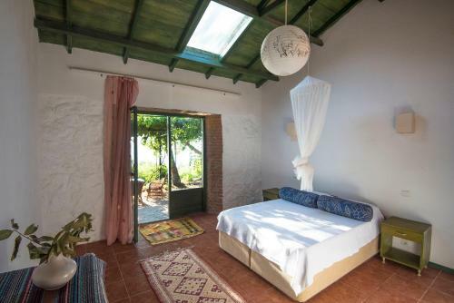 Bed & Breakfast Faralya Botanica