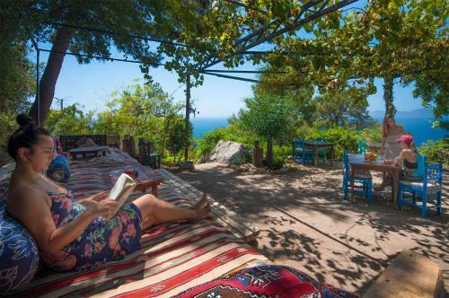 Bed & Breakfast Faralya Botanica
