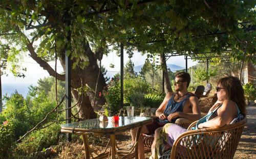 Bed & Breakfast Faralya Botanica