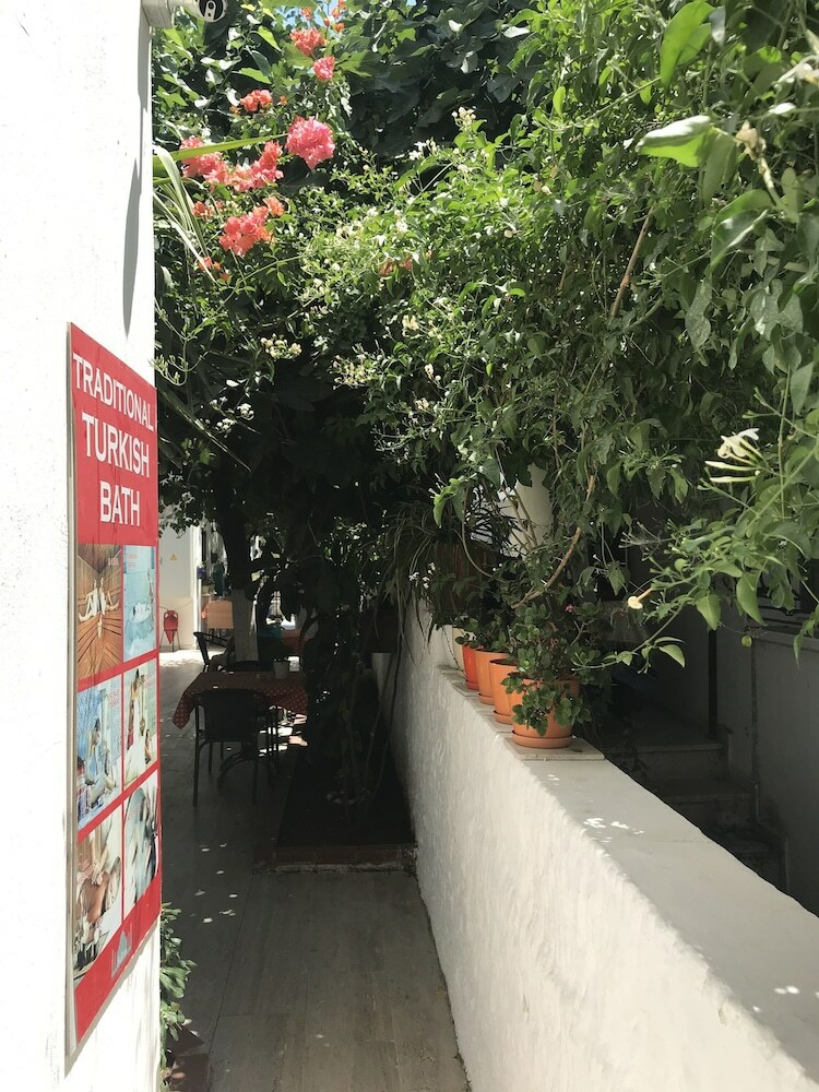 Bed & Breakfast Tay Pansiyon