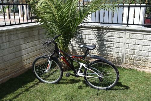 Apartamento G�den-pearl