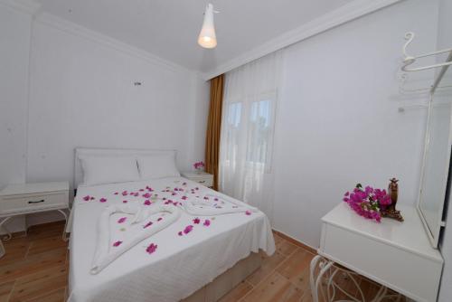 Neruda Pension