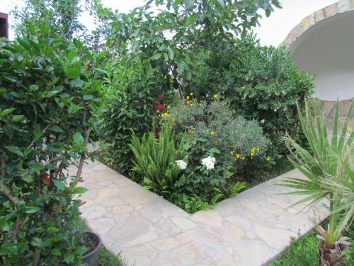Hostal Cinderella Pension & Bungalow