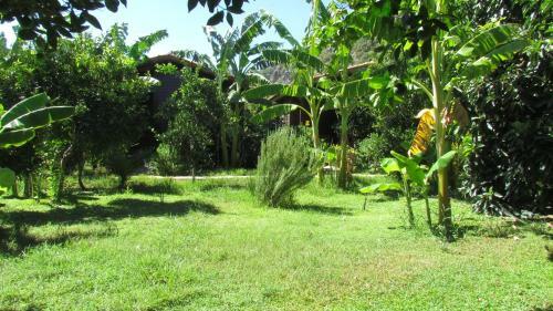 Hostal Cinderella Pension & Bungalow