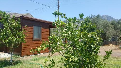 Bed & Breakfast Sakin Vadi Winehouse