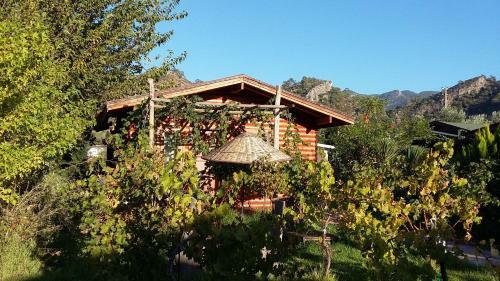 Bed & Breakfast Sakin Vadi Winehouse