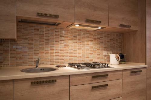 Apartment Roksolana 2