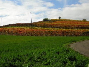 Bed & Breakfast Le Due Cascine Farm Home