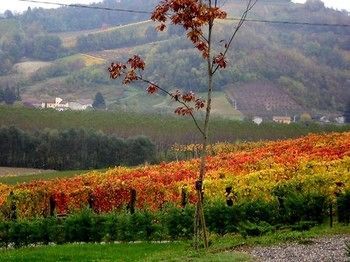 Bed & Breakfast Le Due Cascine Farm Home