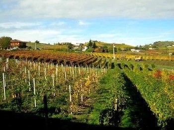 Bed & Breakfast Le Due Cascine Farm Home