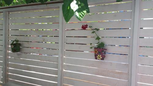 Hotel Uzum Tatil Evi