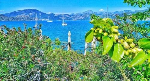 Hotel Uzum Tatil Evi