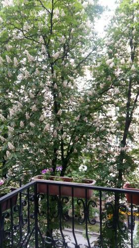 Three-room Apartments On Khreshchatyk
