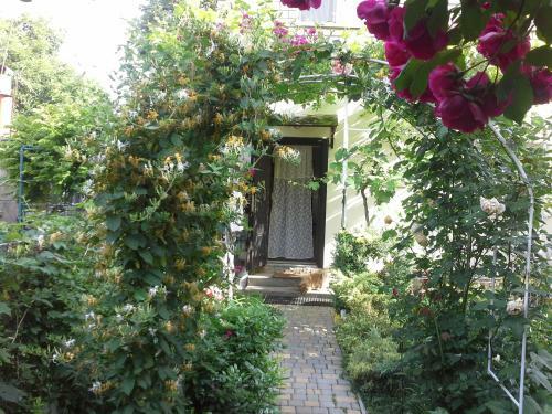 Hostal Guesthouse Marta