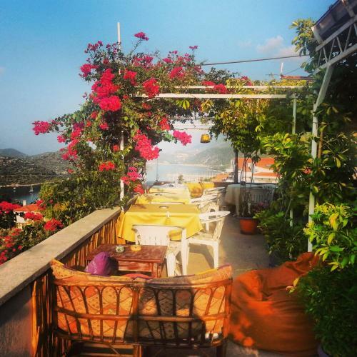 Hostal Aphrodite Pension