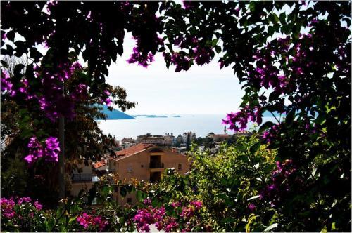 Hostal Aphrodite Pension