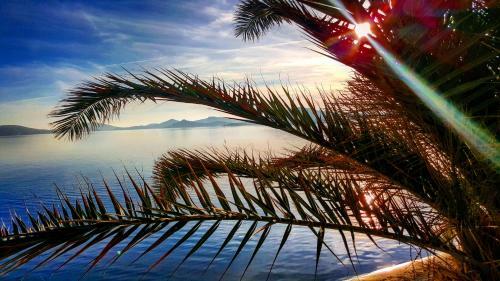 Bed & Breakfast Cunda Hotel