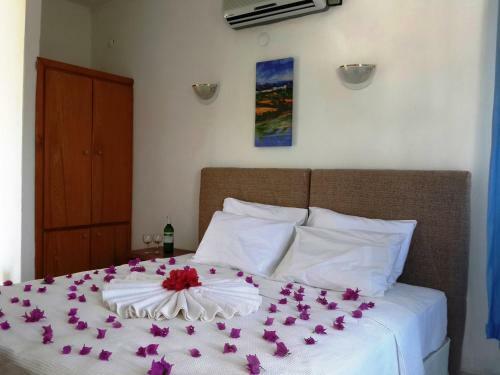 Erol Motel