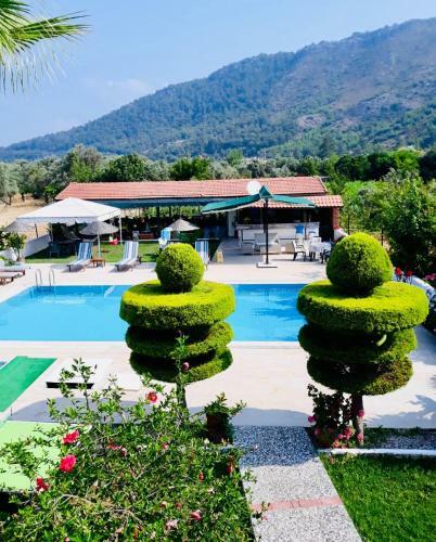 Erol Motel