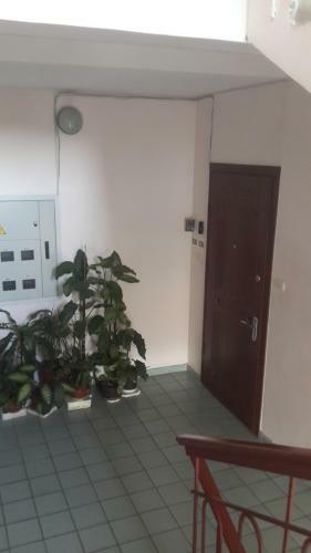 Apartment Ekaterina