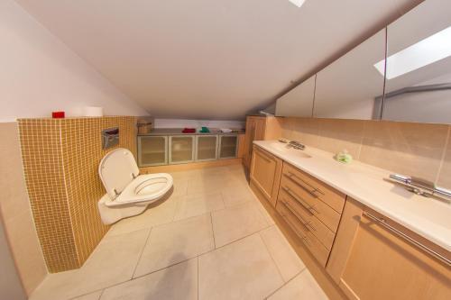 Mansard Apartment Antonovicha 4