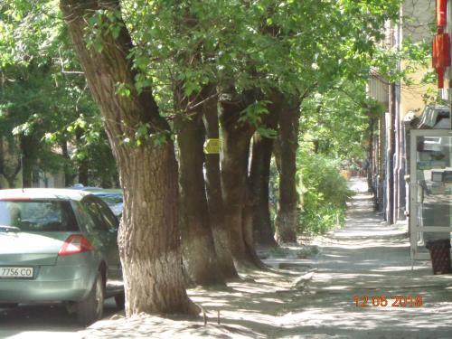 Apartment On Khorvatska 5