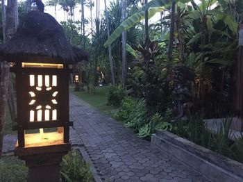 Hotel Bumi Ayu Bungalows