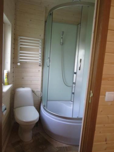 Hostal Bilyy Kamin Guest House