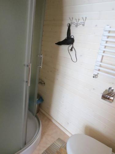 Hostal Bilyy Kamin Guest House