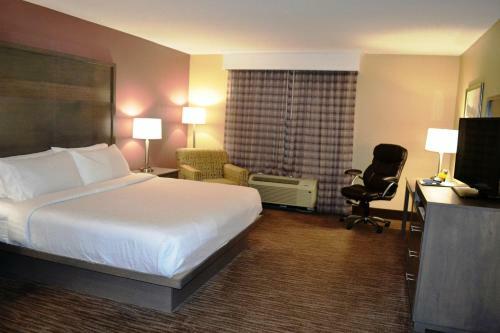 Hotel Holiday Inn Santee