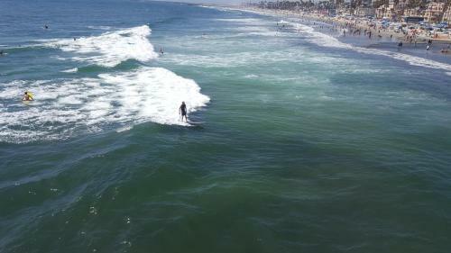 Endless Summer