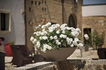Tenuta Monacelli Masseria Giamp