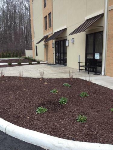 Hotel Comfort Suites-youngstown North