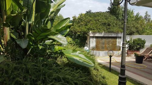 Hotel Capo Circeo