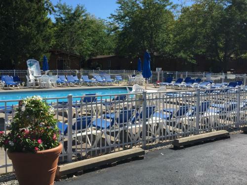 Island Club #1