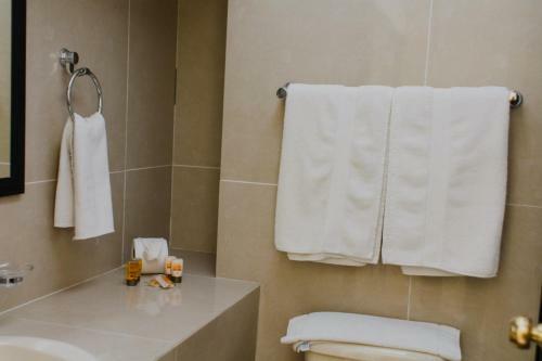 Hotel Ambassador M�rida