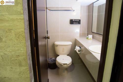 Hotel Ambassador M�rida