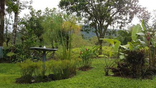Lodge Hotel Brisas Arenal