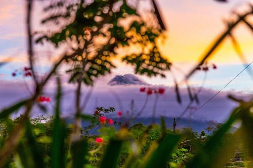 Bed & Breakfast La Fortuna Suites