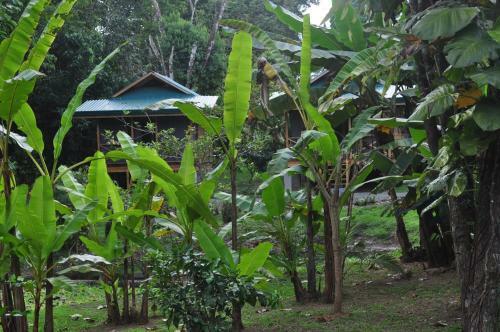 Bed & Breakfast Natura Lodges