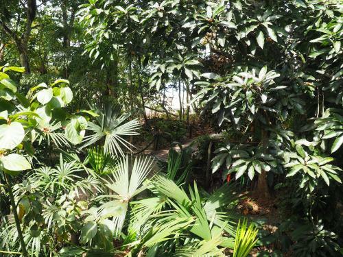 Bed & Breakfast Cabinas Punta Uva