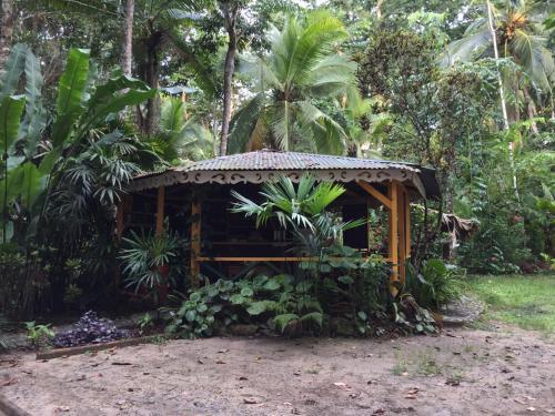 Bed & Breakfast Cabinas Punta Uva