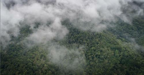 Cloud Forest Lodge
