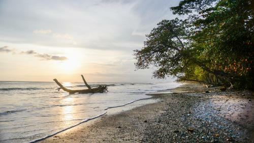 Bed & Breakfast Makanas Beach Bungalows