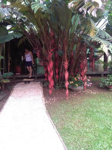 Lodge Rincon Verde